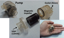 図1 射出成型磁石インペラを用いたワイヤレス駆動が可能な補助人工心臓ポンプの試作品