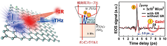 図3　光学励起グラフェンにおけるTHz波の誘導増幅放出。イメージ（左）、実験系（中）、観測波形（右）。