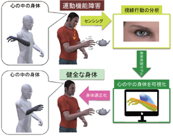 図4　本研究が提案する視線行動からの身体意識の可視化と身体適正化。