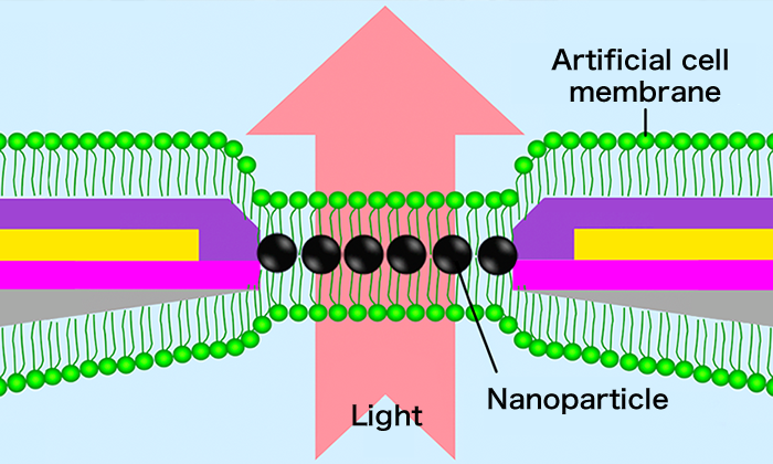 Creation of Photoreactive Nanobiodevices