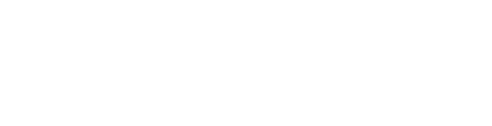 どんなことをしているの？