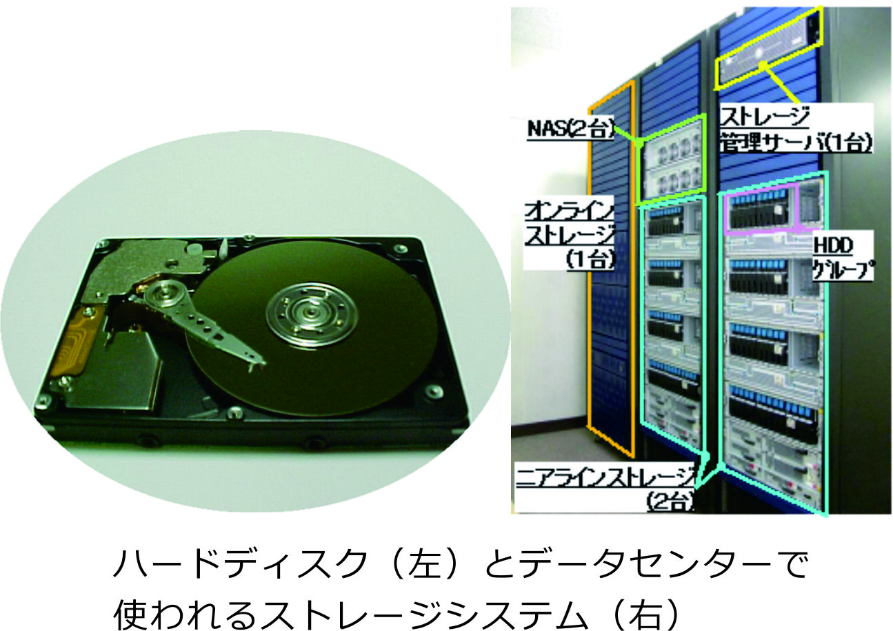 田中・グリーブス研究室の画像