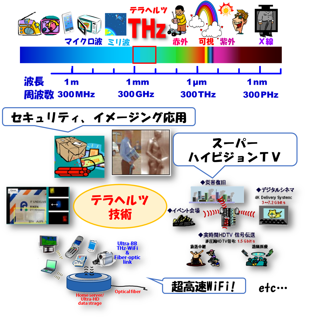 尾辻・佐藤(昭)研究室の画像