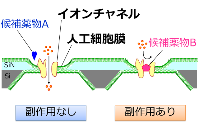 平野研究室の画像"