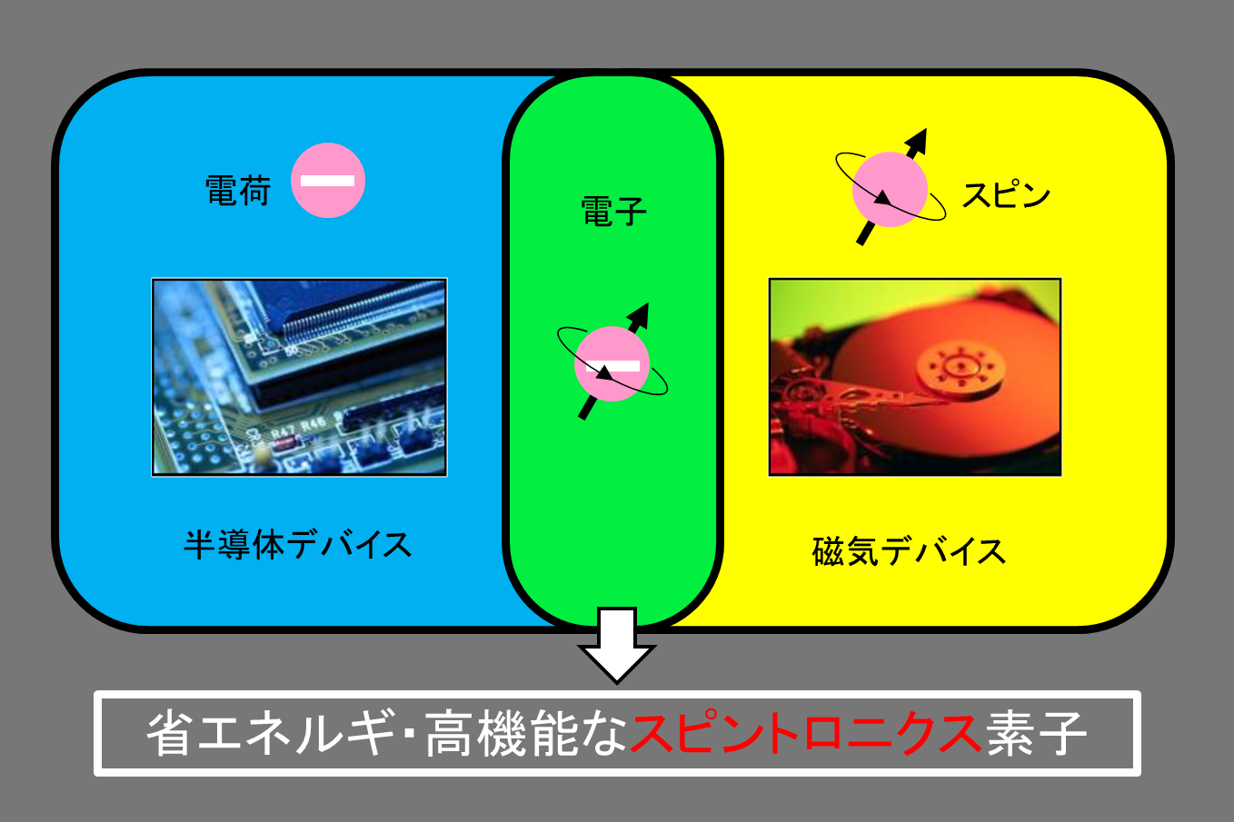 深見研究室の画像