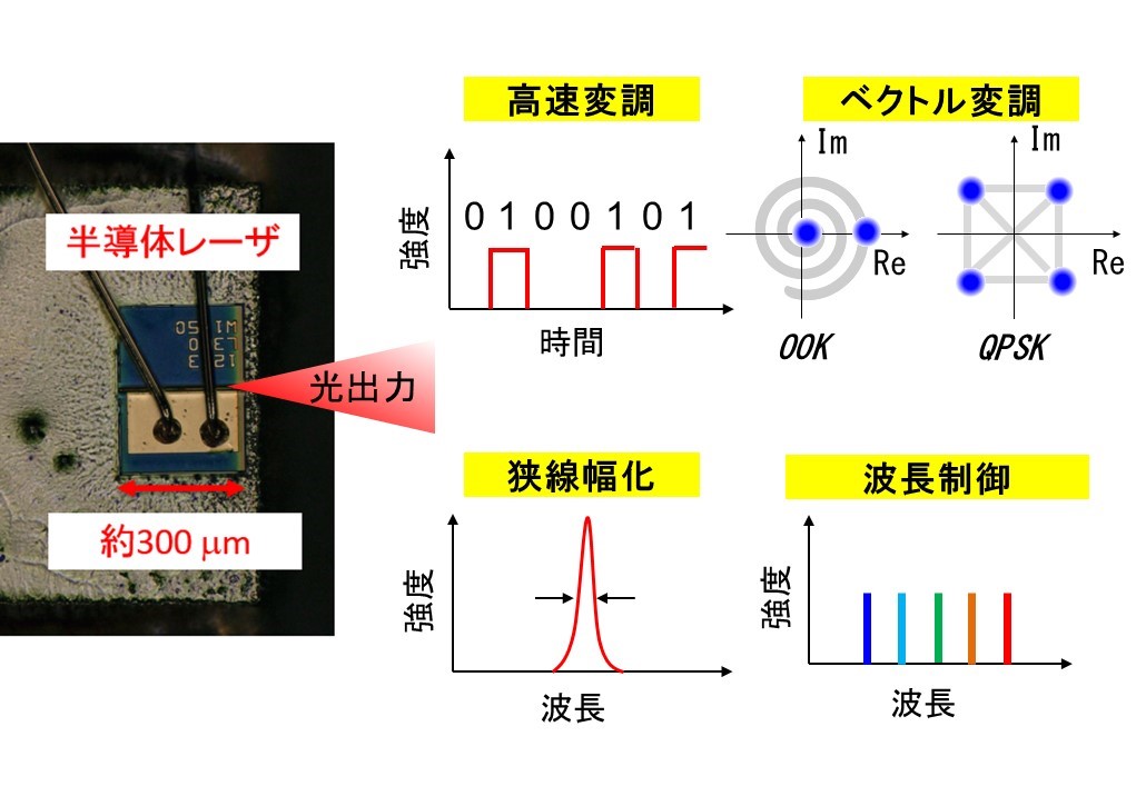 八坂・吉田研究室の画像