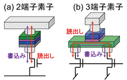 図1 スピントロニクス素子の構造。（a）2 端子素子、（b）3 端子素子。