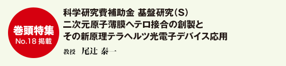 科学研究費補助金 基盤研究（S）
二次元原子薄膜ヘテロ接合の創製とその新原理テラヘルツ光電子デバイス応用