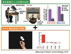 図3　身体意識の人工的操作技術と組み合わせて手の周囲で計測された運動残効。手を中心とする空間知覚表象をもつ運動残効が生じる。