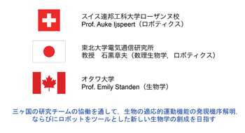 図1　三ヶ国の研究チームから構成する国際的な研究組織。
