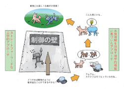 図2　制御の壁を越えるためには、工学的手法のみに頼った力ずくのアプローチではなく、理学的な視座にも基づくことが必要だと考えます。