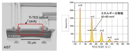 図４．超伝導光子数識別検出器（左）および光子数識別能力（右）