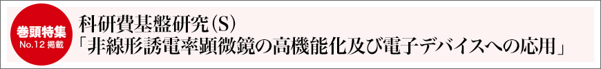 科研費基盤研究（S）「非線形誘電率顕微鏡の高機能化及び電子デバイスへの応用」