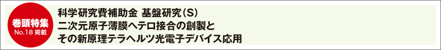 科学研究費補助金 基盤研究（S） 二次元原子薄膜ヘテロ接合の創製とその新原理テラヘルツ光電子デバイス応用