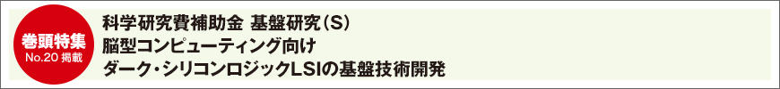 科学研究費補助金 基盤研究（S）脳型コンピューティング向け ダーク・シリコンロジックLSIの基盤技術開発