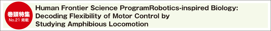 Human Frontier Science Program Robotics-inspired Biology: Decoding Flexibility of Motor Control by Studying Amphibious Locomotion