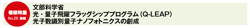 文部科学省 光・量子飛躍フラッグシッププログラム（Q-LEAP） 光子数識別量子ナノフォトニクスの創成