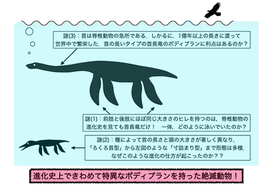 絶滅した動物の動きを復元する革新的な方法論の創成