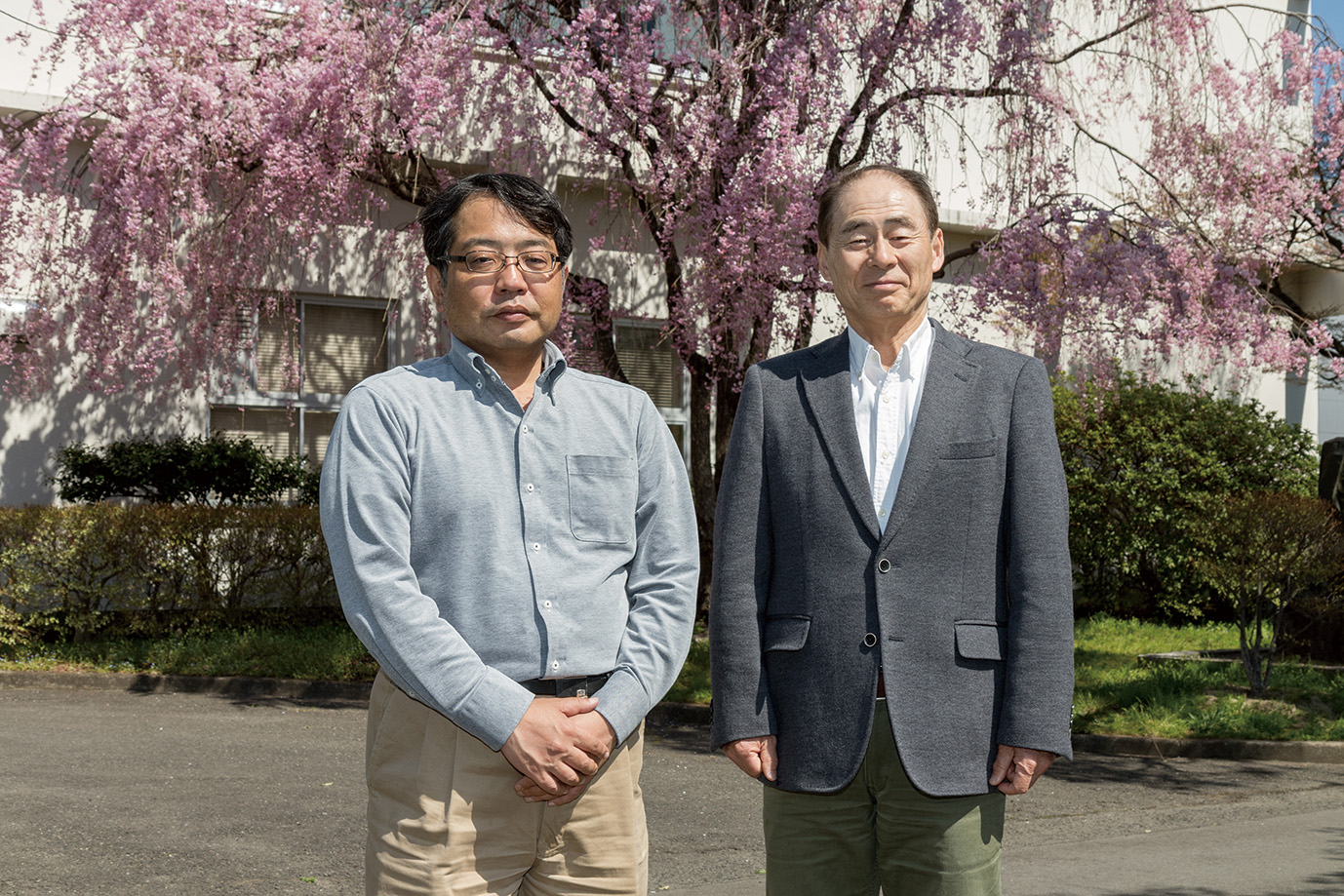 固体電子工学研究室 | 国立大学法人東北大学電気通信研究所公式ウェブ