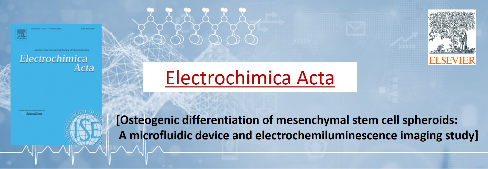 Electrochimica Acta